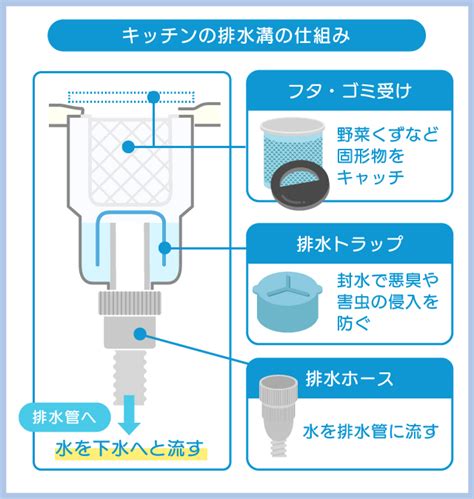 排水溝|キッチン排水溝の仕組みを解説！排水トラップ・排水。